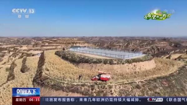多地特色经济作物迎来收获 助农持续增收