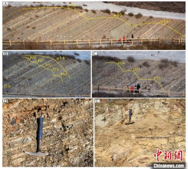 中外古生物学家为早白垩世化石宝库建立年代标尺