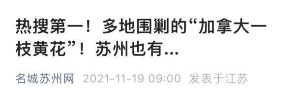 外来入侵物种！苏州多地出现！