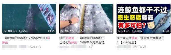 修驴蹄有啥好看的? 修驴蹄有啥好看的?