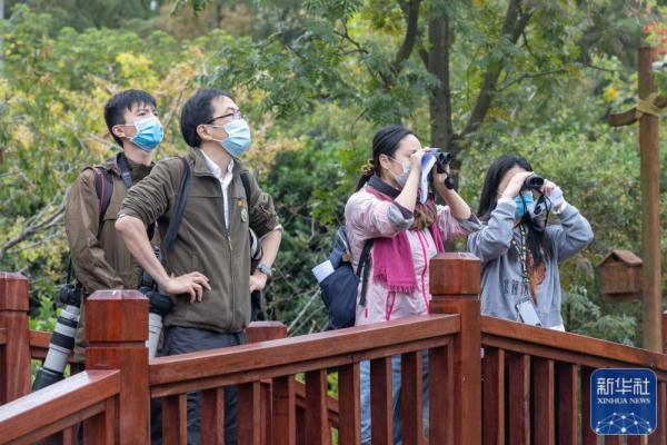 上海：观鸟比赛引游人