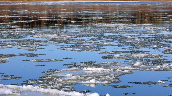 黑龙江漠河段进入流冰期 出现“跑冰排”独特景观