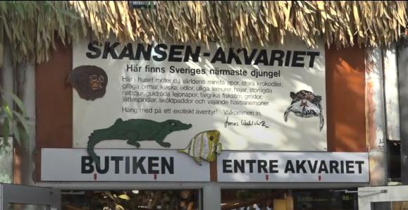 眼镜王蛇当游客面逃出,一口毒液可杀死20人?至今未抓获… 眼镜王蛇当游客面逃出,一口毒液可杀死20人?至今未抓获…