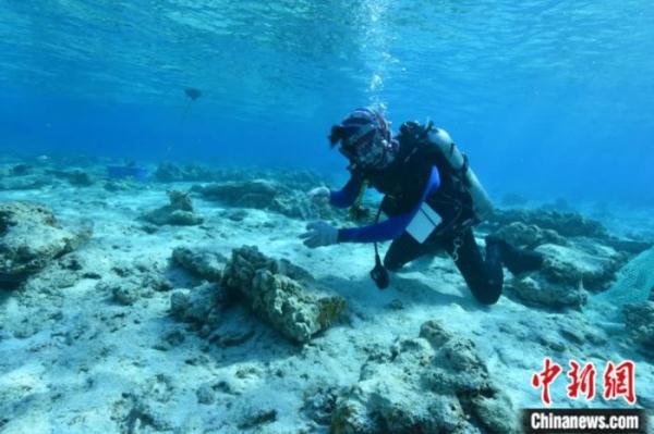 南海古沉船何以实证海上丝绸之路的繁盛？