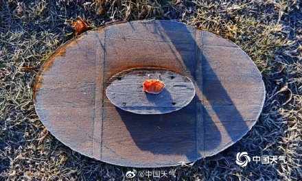 黑龙江太阳岛湿地气温低迷 白霜为植物披银装