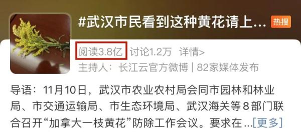 外来入侵物种！苏州多地出现！