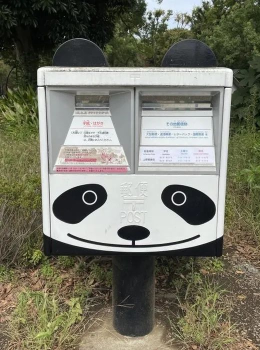 上野动物园举办大熊猫来日本50周年纪念日活动