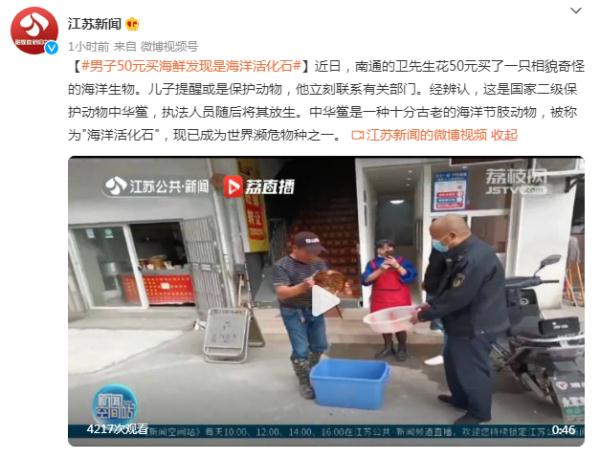 世界濒危物种！男子50元买海鲜发现是“海洋活化石”