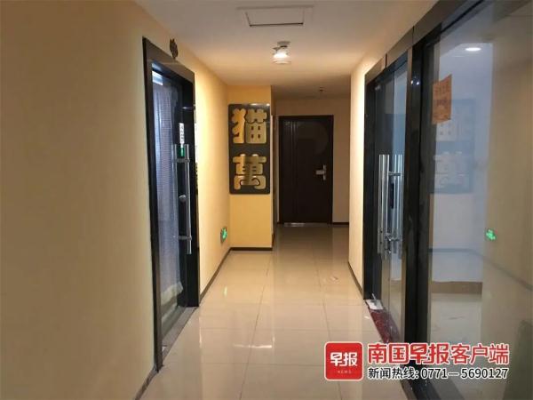 邻居养了一二十只猫狗，整层楼都遭殃