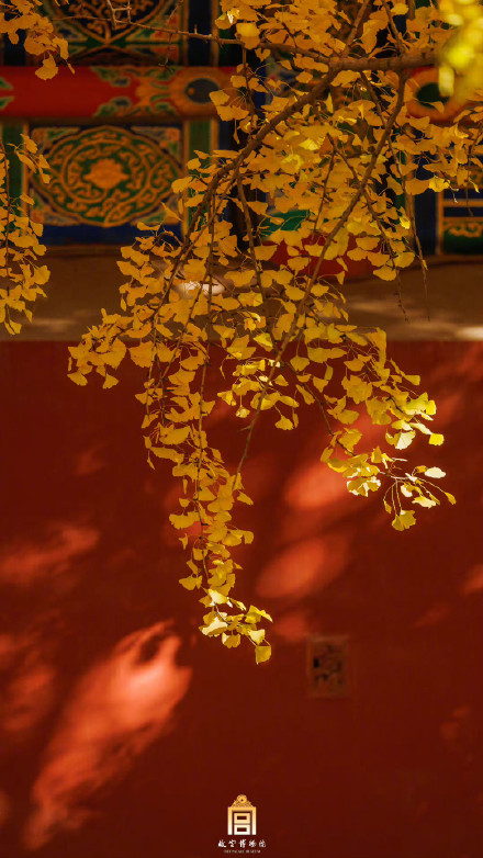 快来收藏！秋天的故宫壁纸来了