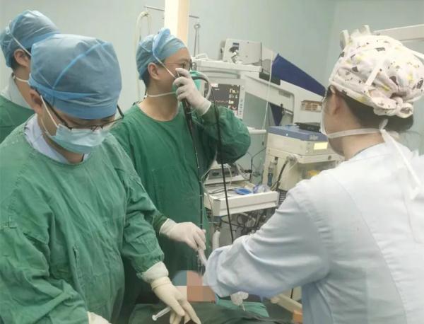 10岁小孩撸猫后反复发烧 身上肿出两大“鸡蛋”......