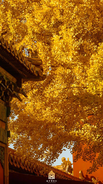 快来收藏！秋天的故宫壁纸来了