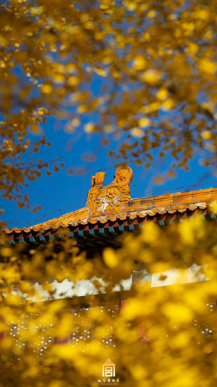 快来收藏！秋天的故宫壁纸来了