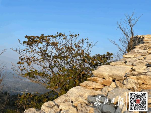 武汉藏着一座“小长城”