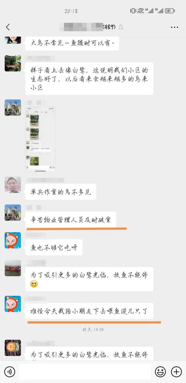 上海一小区水池观赏鱼越来越少,真相好气又好笑… 上海一小区水池观赏鱼越来越少,真相好气又好笑…