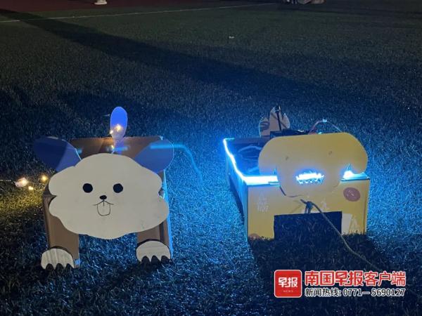 广西不少大学生竟在宿舍“养狗”！有的“狗”还会飞……