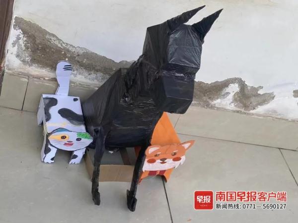广西不少大学生竟在宿舍“养狗”！有的“狗”还会飞……