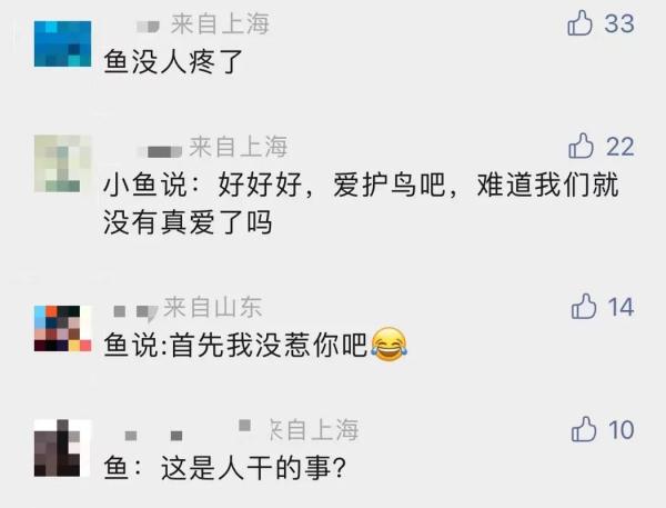 上海一小区水池观赏鱼越来越少,真相好气又好笑… 上海一小区水池观赏鱼越来越少,真相好气又好笑…