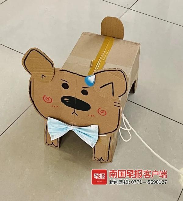 广西不少大学生竟在宿舍“养狗”！有的“狗”还会飞……