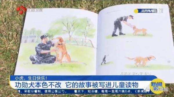 是庆生也是最后的告别！小虎，谢谢你来到这世界！