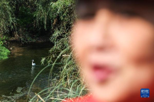 新华全媒+|湿地上的“最美阿姨” 新华全媒+|湿地上的“最美阿姨”