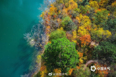 人间仙境 四川喇叭河美景引人入胜