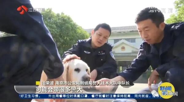 是庆生也是最后的告别！小虎，谢谢你来到这世界！