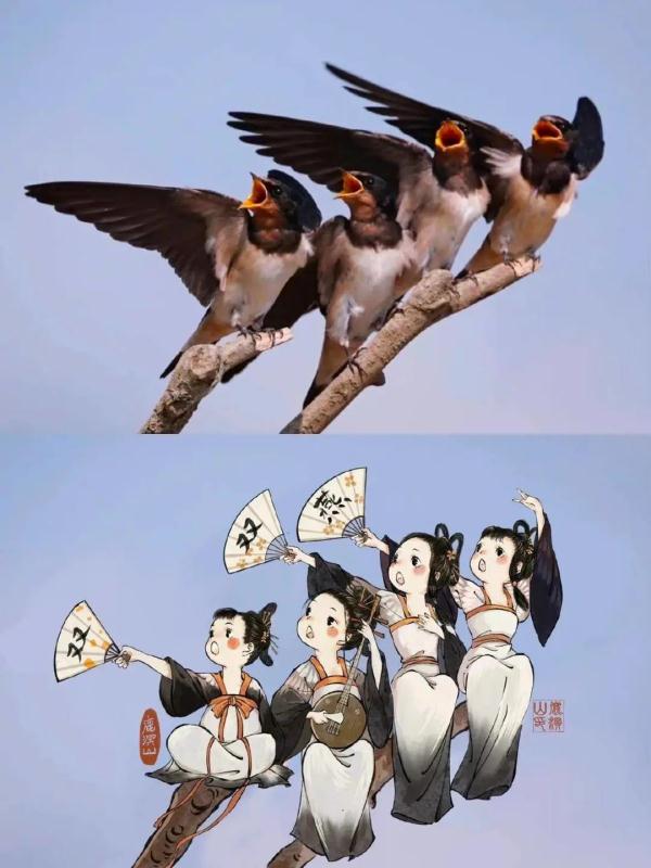 90后插画师创作“拟人小鸟”国风作品火出圈