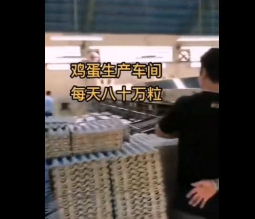 1小时产6万个,人造鸡蛋成本只要1角钱? 1小时产6万个,人造鸡蛋成本只要1角钱?
