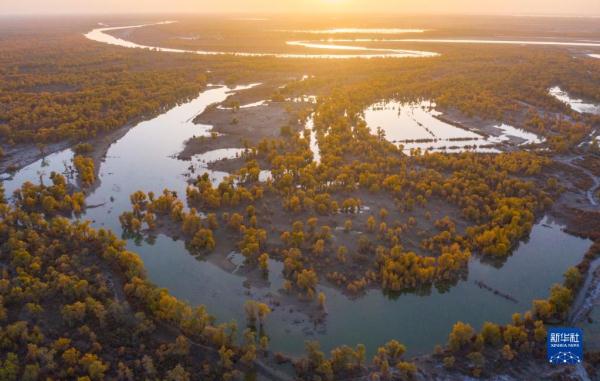 新华全媒+丨新疆:“三山两盆”孕育湿地之美