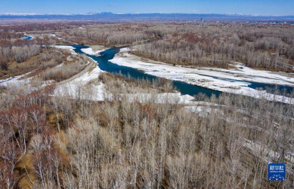 新华全媒+丨新疆:“三山两盆”孕育湿地之美