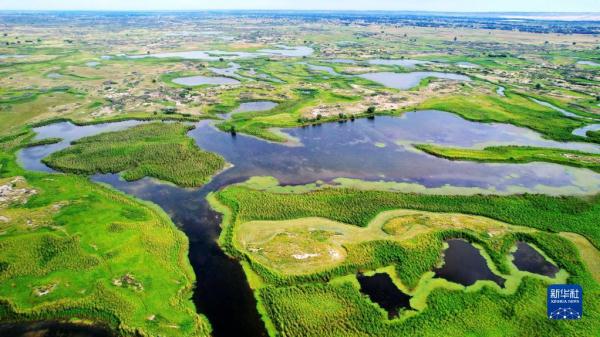 新华全媒+丨新疆:“三山两盆”孕育湿地之美