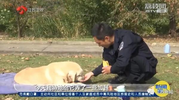 是庆生也是最后的告别！小虎，谢谢你来到这世界！