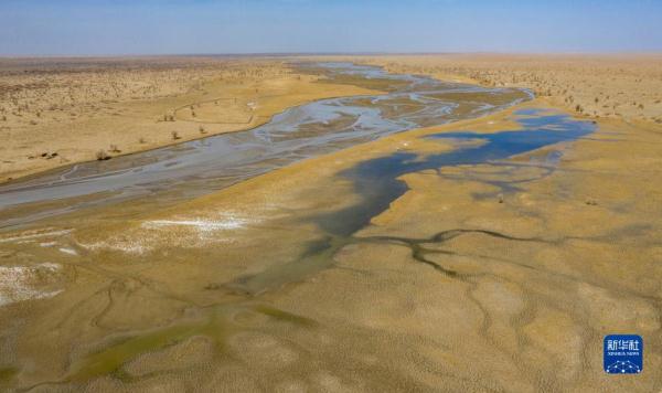 新华全媒+丨新疆:“三山两盆”孕育湿地之美