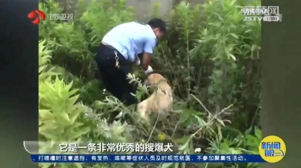 是庆生也是最后的告别！小虎，谢谢你来到这世界！