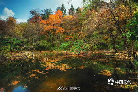 人间仙境 四川喇叭河美景引人入胜