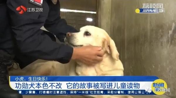 是庆生也是最后的告别！小虎，谢谢你来到这世界！