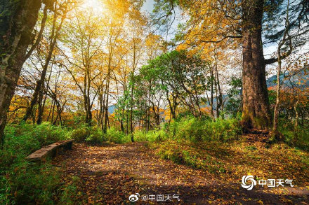 人间仙境 四川喇叭河美景引人入胜