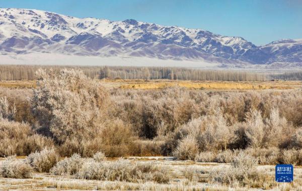 新华全媒+丨新疆:“三山两盆”孕育湿地之美