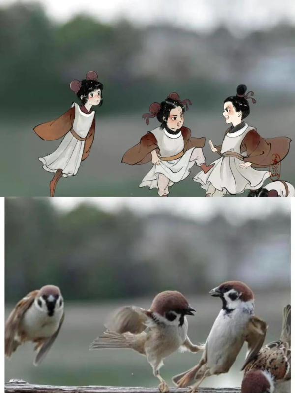 90后插画师创作“拟人小鸟”国风作品火出圈