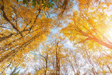 人间仙境 四川喇叭河美景引人入胜