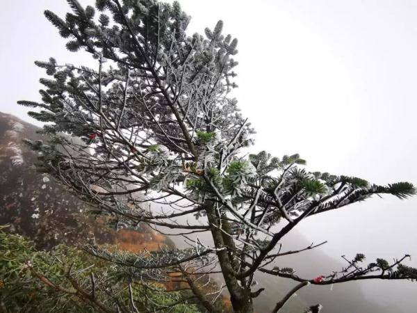 今天，昆明这个地方下雪了！！！