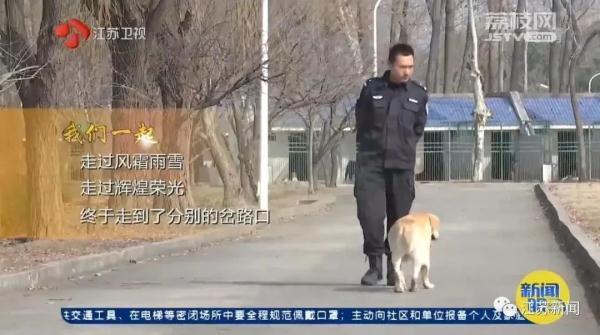 是庆生也是最后的告别！小虎，谢谢你来到这世界！