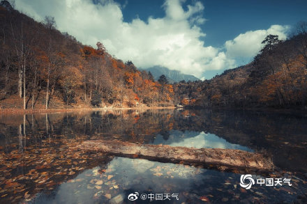 人间仙境 四川喇叭河美景引人入胜