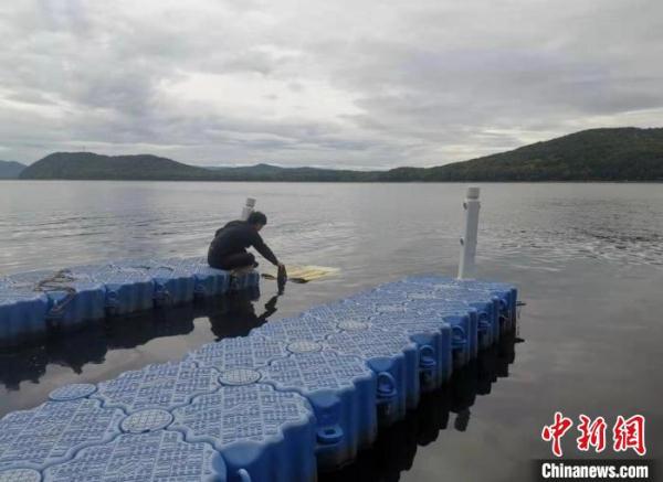 速看（可以下海的飞机）飞机能飞上天，(图3)