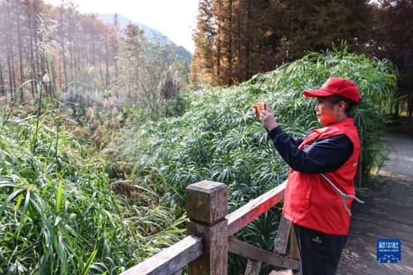 新华全媒+|湿地上的“最美阿姨” 新华全媒+|湿地上的“最美阿姨”