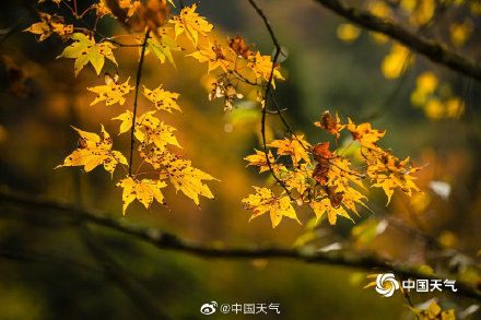 人间仙境 四川喇叭河美景引人入胜