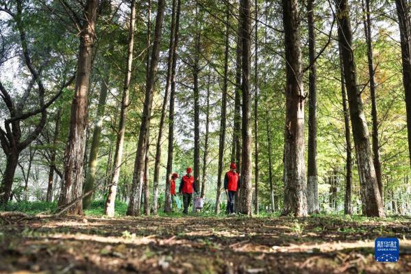 新华全媒+|湿地上的“最美阿姨” 新华全媒+|湿地上的“最美阿姨”