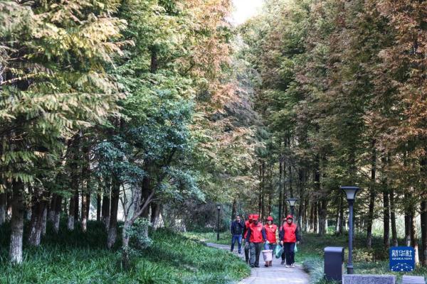 新华全媒+|湿地上的“最美阿姨” 新华全媒+|湿地上的“最美阿姨”