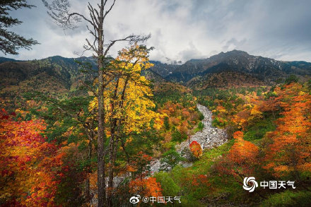 人间仙境 四川喇叭河美景引人入胜